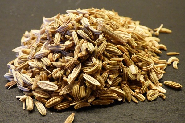 Fennel seeds Chinese medicine